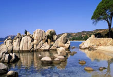 印第安纳步行者能否在新赛季重返季后赛？